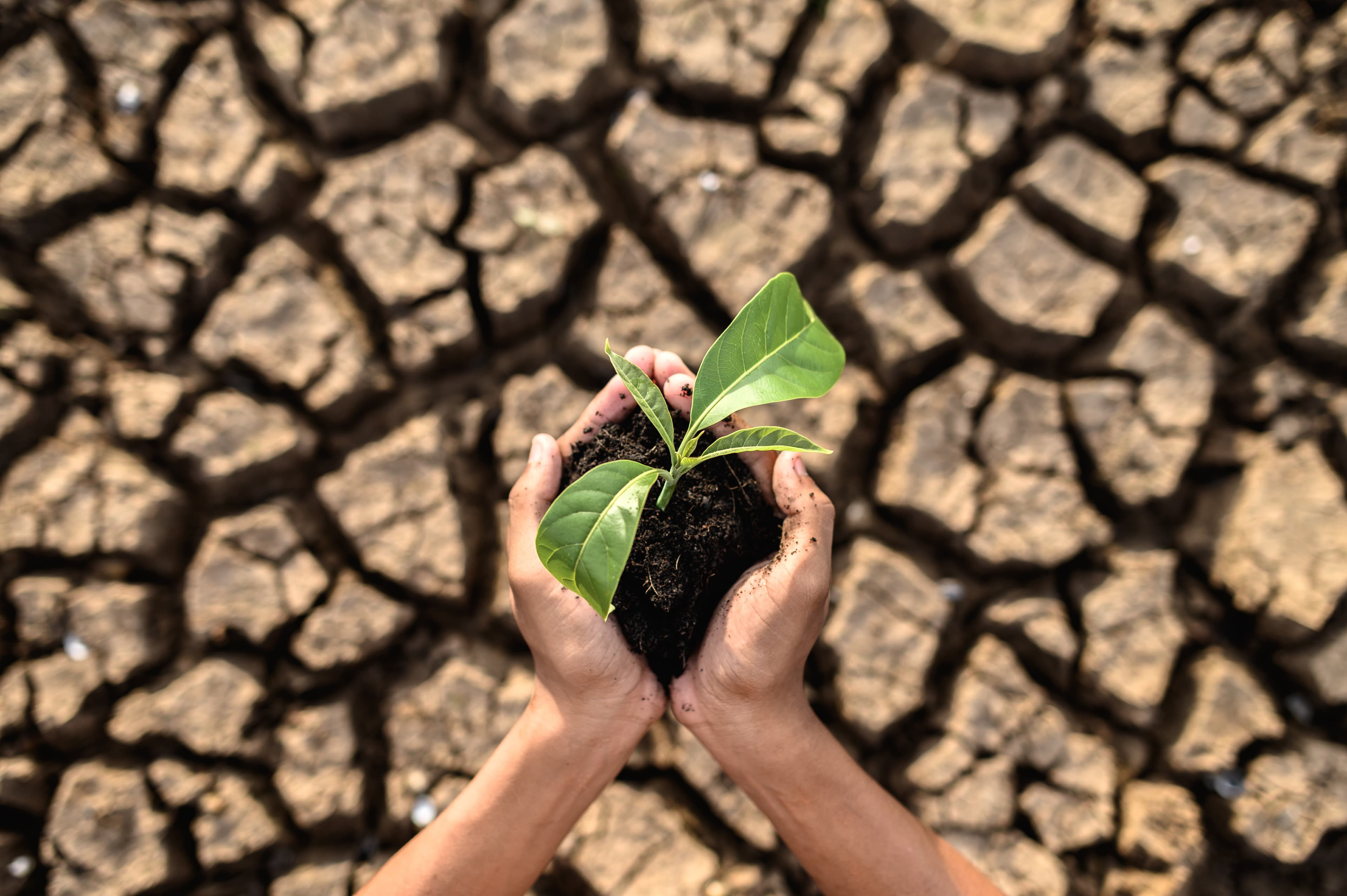 Centre for climate resilient construction materials & technologies