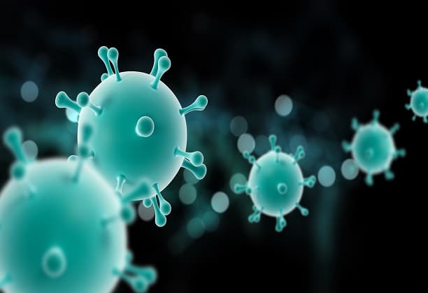 Developing a human auto antibody atlas for profiling autoimmune diseases and strategizing personalized medicine