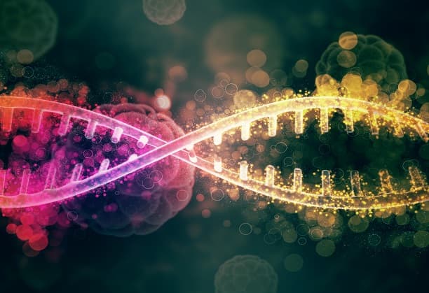 Centre for Cancer Genomics and Molecular Therapeutics