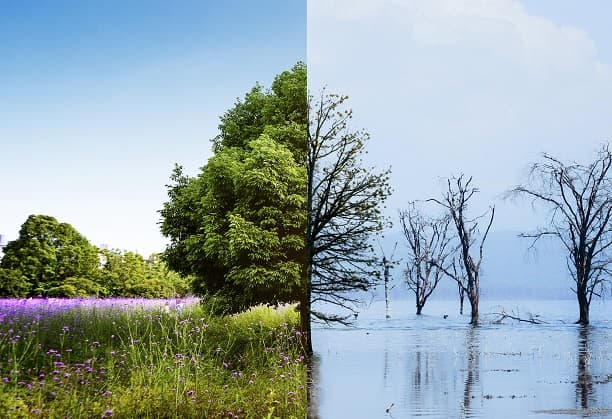 Climate Change & sustainable livelihood: Indian Sundarbans