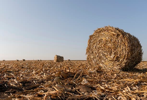 Agro waste to value-added applications-Coir Waste for sound absorption applications for sustainable world and farmer welfare