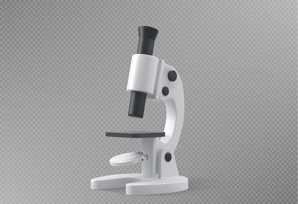 Establishment of an ultrathin cryo-sectioning facility at the National Facility for cryo electron microscopy