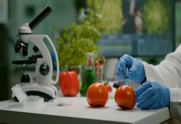 Development of an SERS sensor for rapid detection of food adulterants