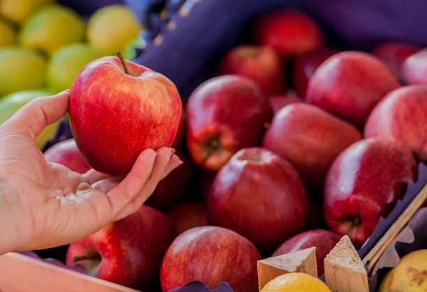 Exploring the use of Optical Coherence Tomography in Fruit Health Monitoring