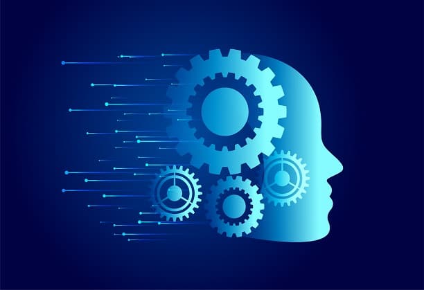 Establishing the centre for engineering human performance