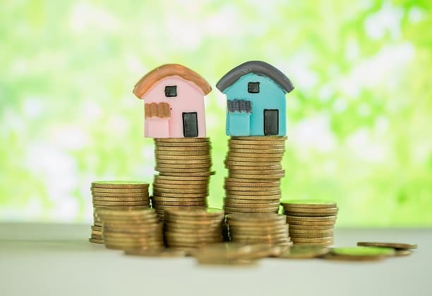 Center for Low-cost Housing and Sustainability