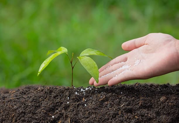 On-site soil testing for estimation of NPK levels using simple, sensitive and affordable kits
