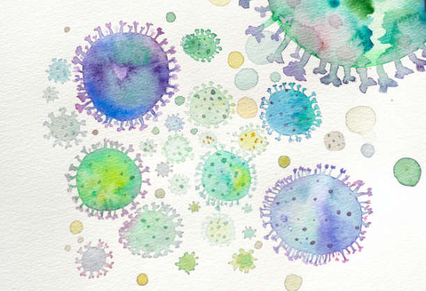 Electric Bacteria for Air to Ammonia Conversion