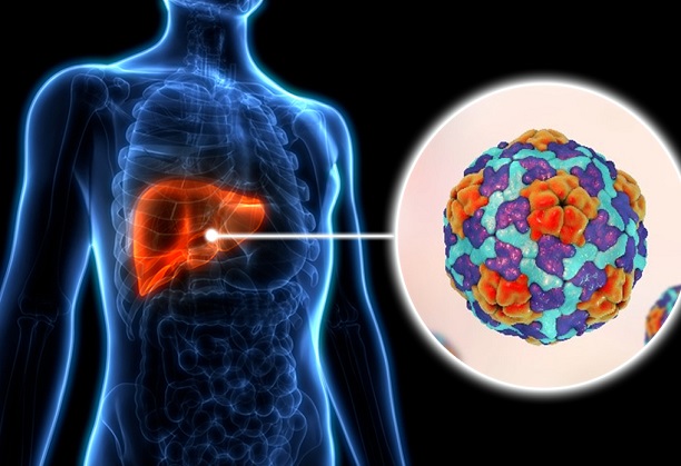 Fabrication of a cost effective, portable device for rapid detection and classification of Hepatitis viral strains