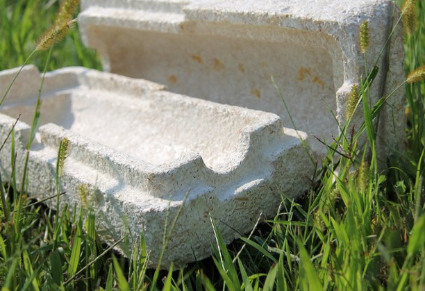 Development of Fungi-based materials for packaging and insulation solutions