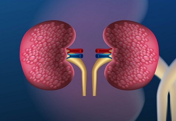 Prognostics for kidney health : Design and Development of a smart, AI/ML driven, IoT based device