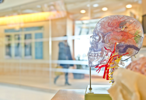 From Superstition to Science: Teaching rural school students about neurological disorders