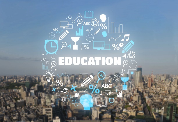 Soft Skills Training for Students in the Online BSc Degree in Programming and Data Science